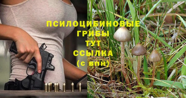 гидропоника Абинск