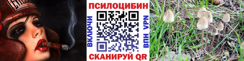 Псилоцибиновые грибы Cubensis  что такое   Заринск 